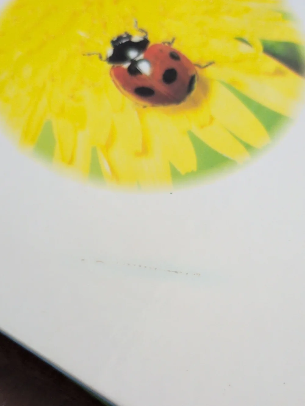Time Life & David Suzuki Books Children's Lot of 2 Hardback Nonfiction Books